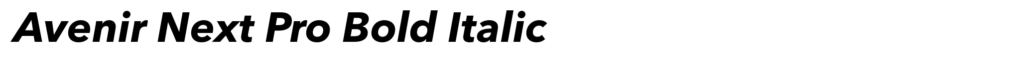 Avenir Next Pro Bold Italic image